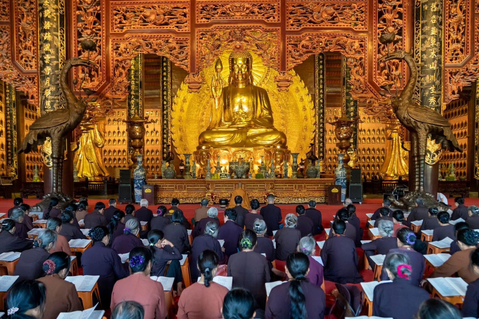 “Dù lên tận hư không, xuống biển sâu hay ẩn trong núi rộng, vẫn không thể trốn được nghiệp của chính mình.”