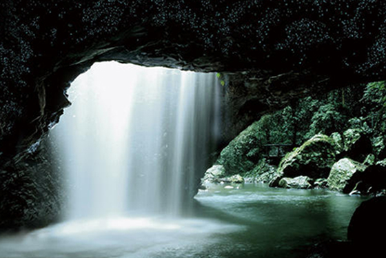 Sydney - Blue Mountains - Melbourne - Dandenong - Đảo Phillip (Siêu tiết kiệm)