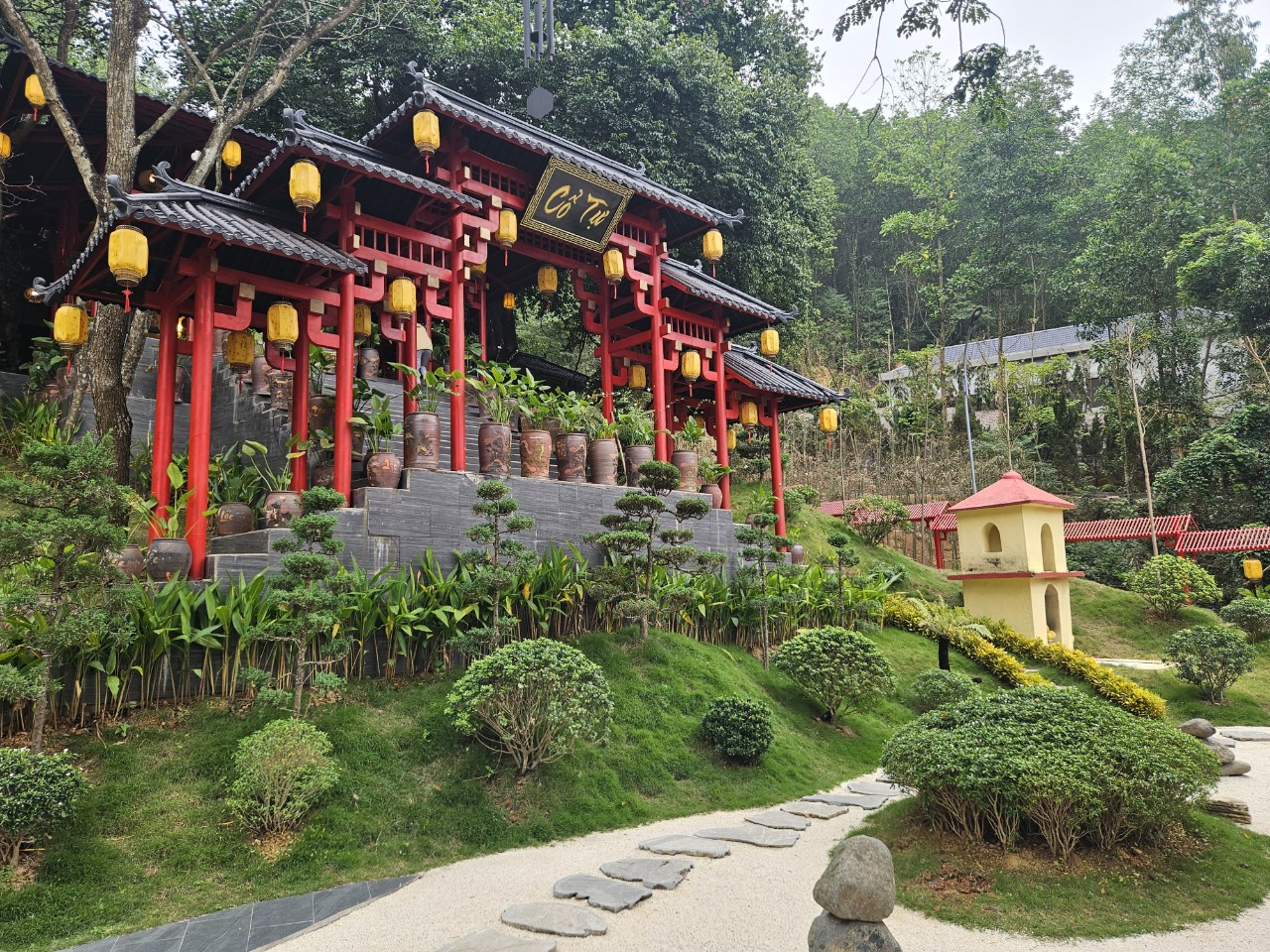 Cây Thị  - Địa Tạng Phi Lai - Phật Quang 1N - Chương trình media 1N