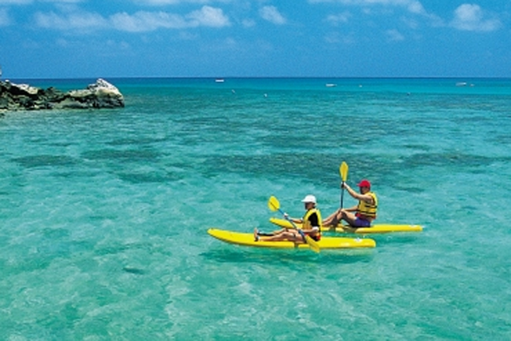 Video khám phá đất nước xinh đẹp của những chú chuột túi kangaroo