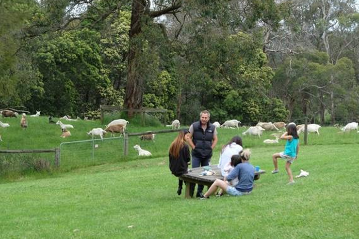 Video khám phá đất nước xinh đẹp của những chú chuột túi kangaroo